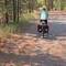 Great American rail trail through the woods