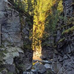 Viel Wasser, dafür eher wenig Sonnenlicht
