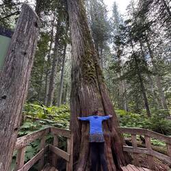 Bäume brauchen Liebe, wie alles andere auch...