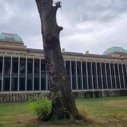 Herzog Anton Ulrich Museum