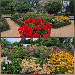 Botanischer Garten in Braunschweig