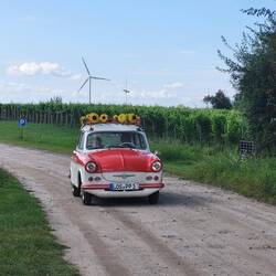 Am Wohnmobilstellplatz 😀