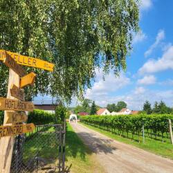 Weingut Patke im Landkreis Oder-Spree.