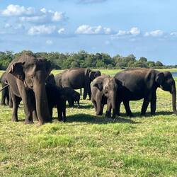 In der Mitte ein ganz kleines Baby 🥹