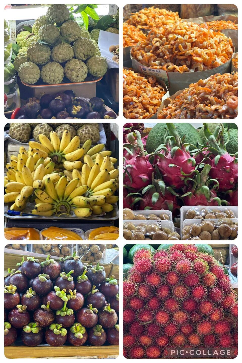 Some of the fruits at the market