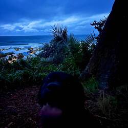 Dad and Jetty Early Morning Walks