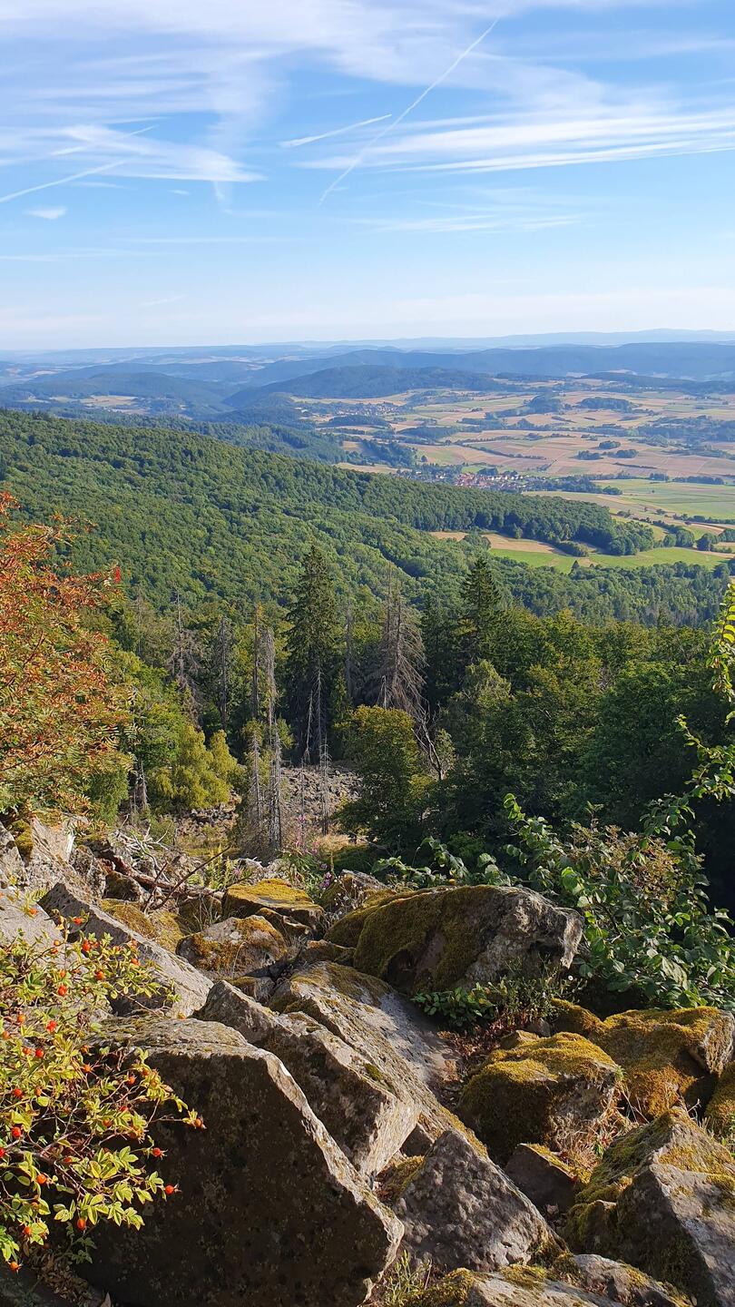Mount Kalbe