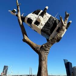 Cow up a Tree by John Kelly