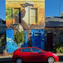 Fitzroy street art (a Kookaburra with a message)