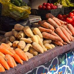 Karotten, auch in gelb