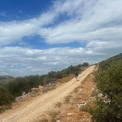 Kleine Hunderunde... viel zu warm 🥵