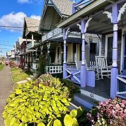 Historische Häuserzeile in Oak Bluffs