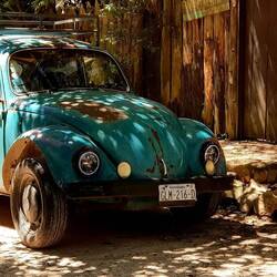 Many Volkswagen Beetle cars can still be seen on the road. It was produced in Mexico until 2003.