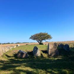 Steingrab in Schiffform. Auch in Schweden so gesehen. Wikinger?