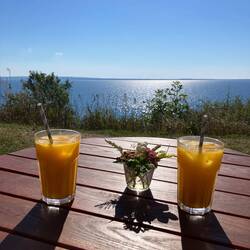 mit Sanddorn-Schorle und Fernsicht😎