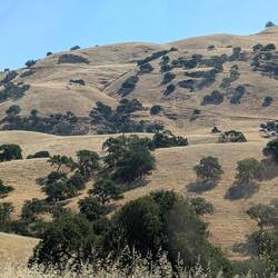 Del Valle Regional Park