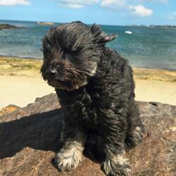 Vom Winde verweht....