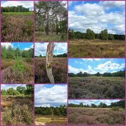 Wahner Heide bei Köln