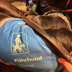 Ich habe die Zeit aber genutzt um ganz viel über die Ausbildung und das weitere Vorgehen zu erfahren