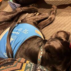 Targo hat auch keine Lust mehr