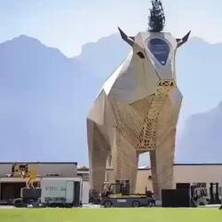 Auch Muni Max geht nach Hause😅