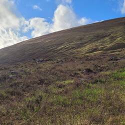 Blauer Himmel zum Tagesabschluss