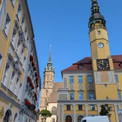 Zurück in die Altstadt