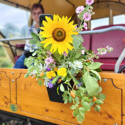 Der letzte Blumenstrauß