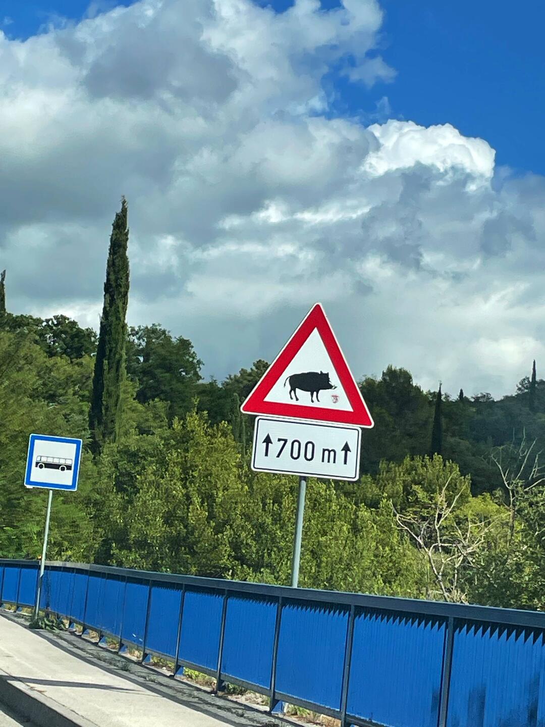 Strasse von Kroatien nach Montenegro mit vielen Wildchweinschildern