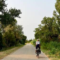 Zurück nach Arles im Eiltempo