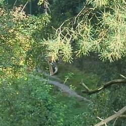 Ich raste aus ❤️❤️❤️❤️❤️❤️