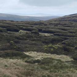 Ce ne sont que des tourbières