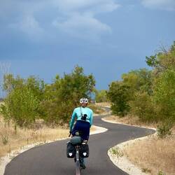 Sollen wir? Oder nicht?