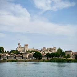 Avignon