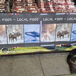 Food available on the market