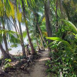 Parque nacional Cahuita