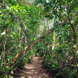 Parque nacional Cahuita