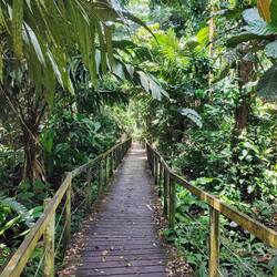 Parque nacional Cahuita