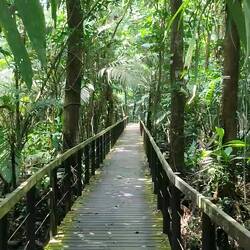Parque nacional Cahuita