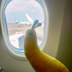 Sluggys erster Flug