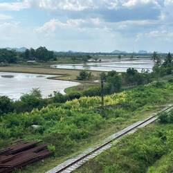 The tracks we have followed for many miles