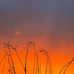 The most warm-coloured beautiful fill-your-heart sunset.