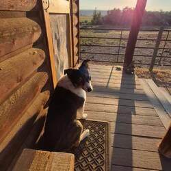 An Morgen begrüßte uns direkt "Sachi" ...