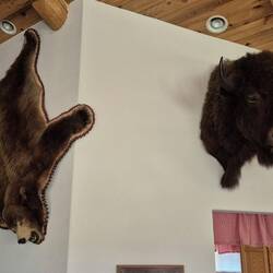 Die Jagderfolge des Hausherrn