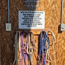 Gut gelöst in Wyoming