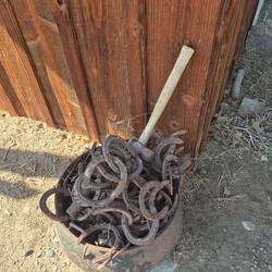 Hufe werden selbst beschlagen