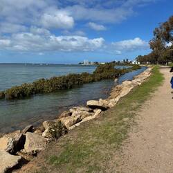 Hastings Foreshore Reserve