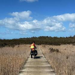 We happily rolled along Warringine Park's boardwalks...