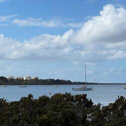 Large Esso processing and storage plant next to wetland reserve