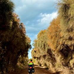 Easy relaxing cycling through lovely colours